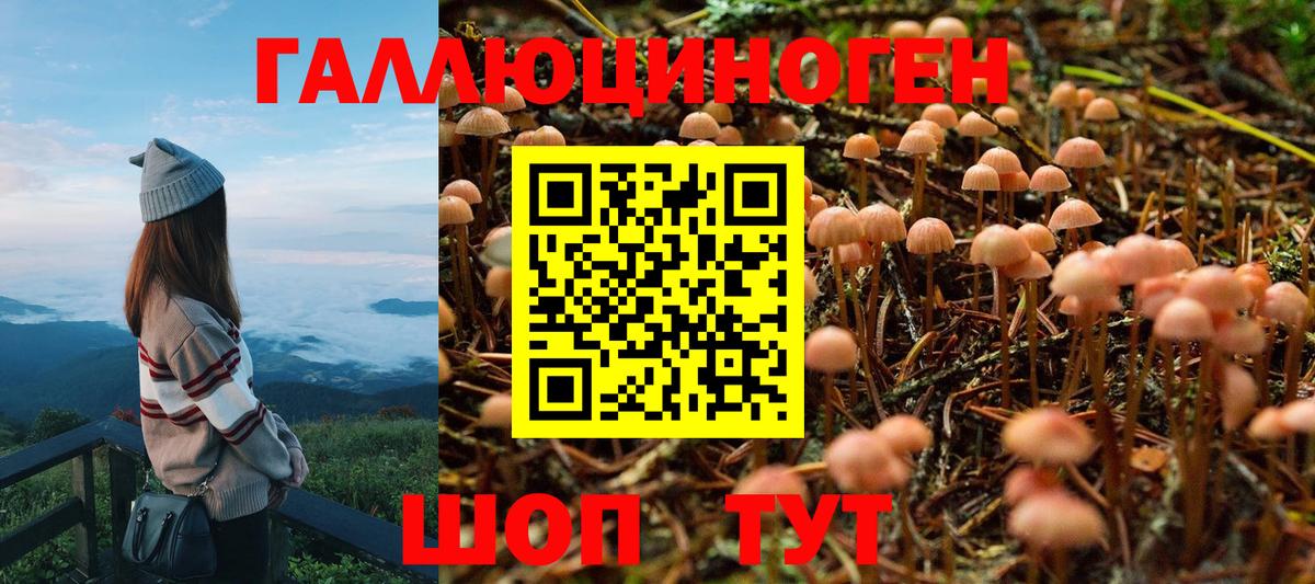 магазин продажи   Галлюциногенные грибы Magic Shrooms  Вход с VPN  Реж 