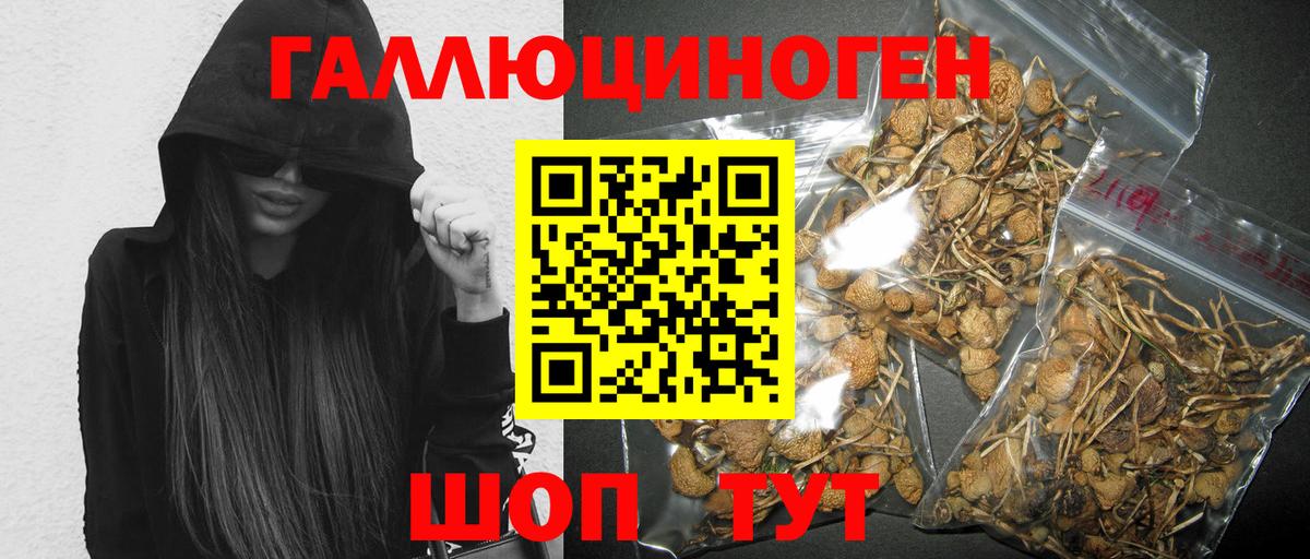 Галлюциногенные грибы GOLDEN TEACHER Реж